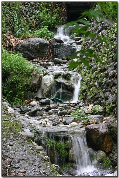 http://lh4.google.com.tw/dmreader8/RxMCqHz4CEI/AAAAAAAACok/BA7tAuFaT0o/s800/IMG_3275.jpg