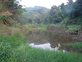 此區內仍現存原始埤塘地景